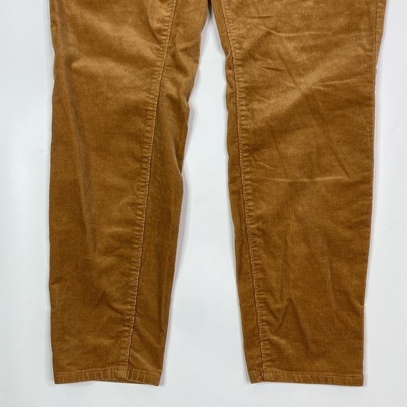 Loft Outlet Light Brown Corduroy Hi Rise Skinny Pants Size 16 - Picture 4 of 13